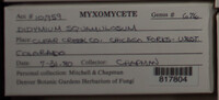 Image Associated With the Occurence